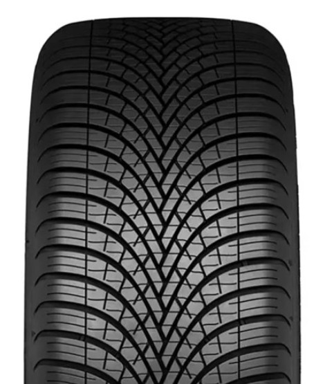 205/55 R16 91V Dunlop All Season 2 (Dunlop)