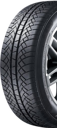 195/60 R15 88T Sunny NW611