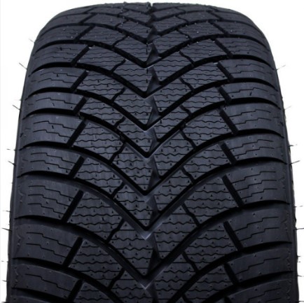 185/55 R14 80T Warrior Wasp-Plus